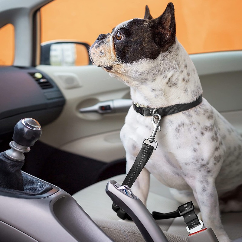伸縮式犬用カーハーネスセット、調節可能なシートベルト、ナイロ - Snap Fastener Set のレビューと価格